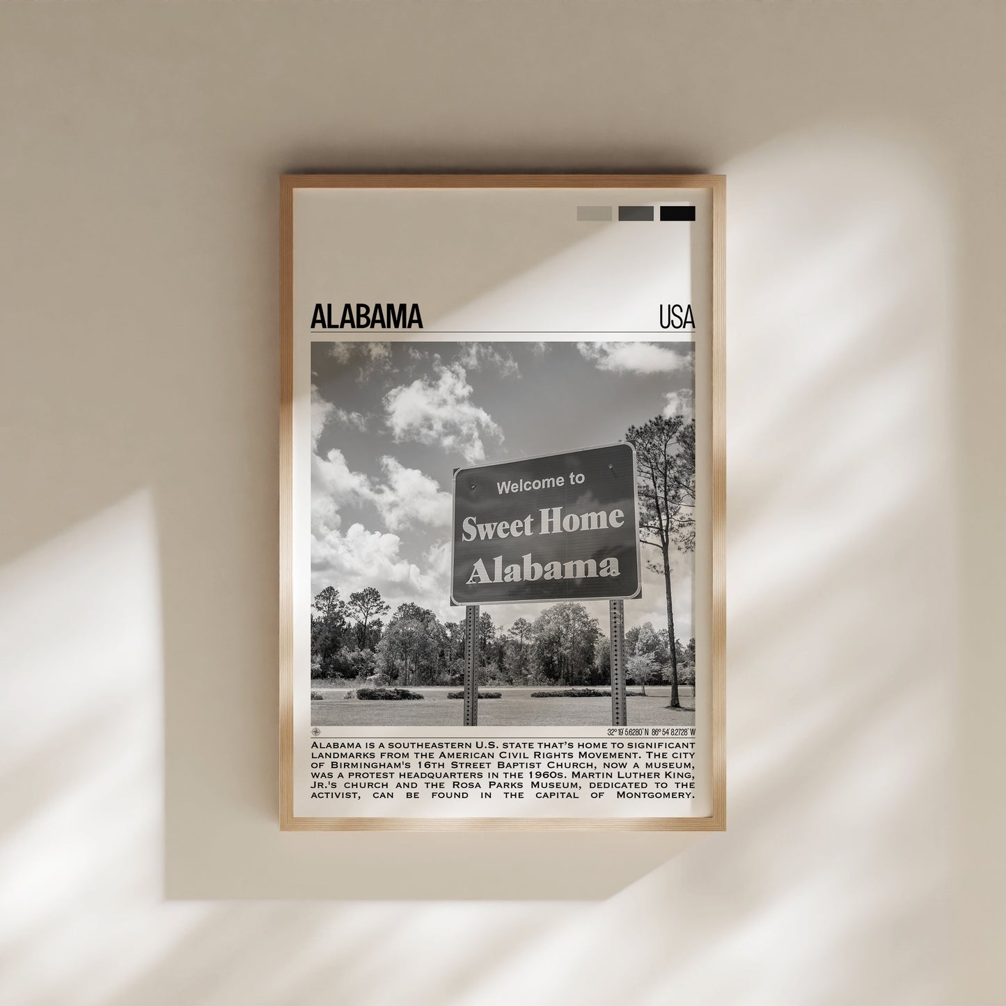 Alabama B&W Poster #1