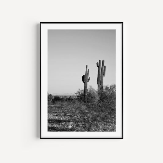 Arizona B&W State Picture #1