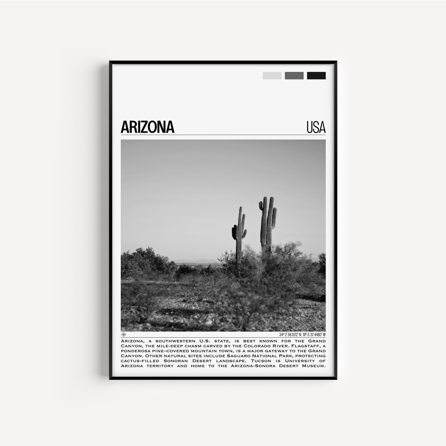 Arizona B&W Poster #1