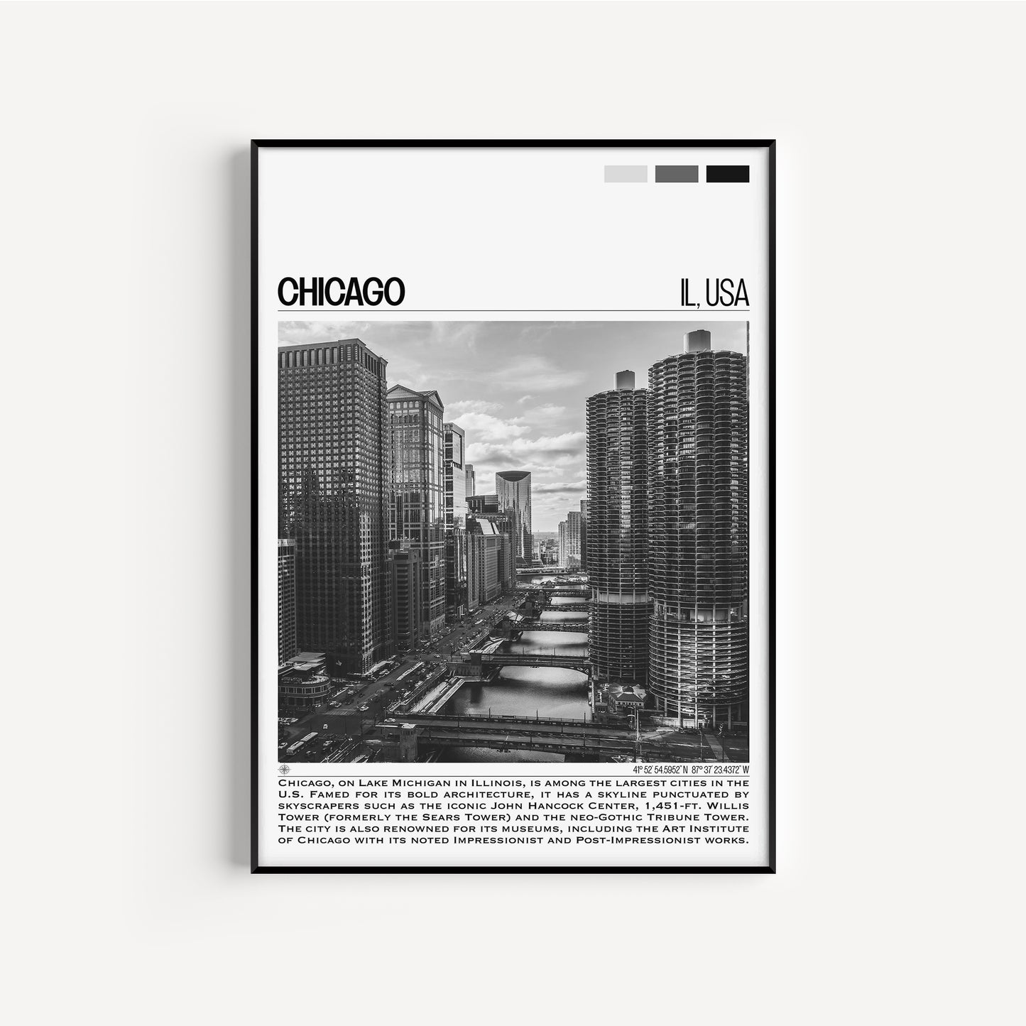 Chicago B&W Poster #1