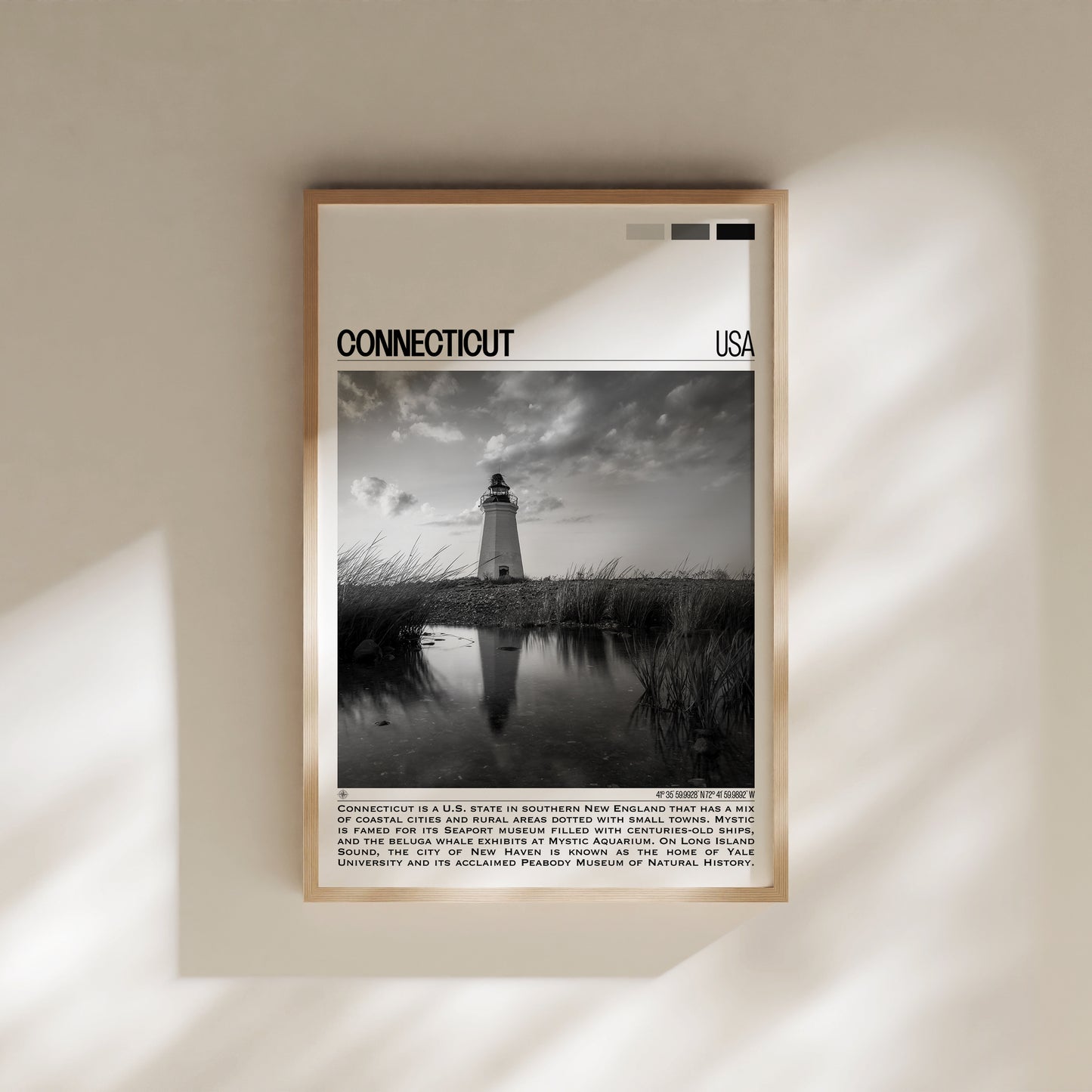 Connecticut B&W Poster #1