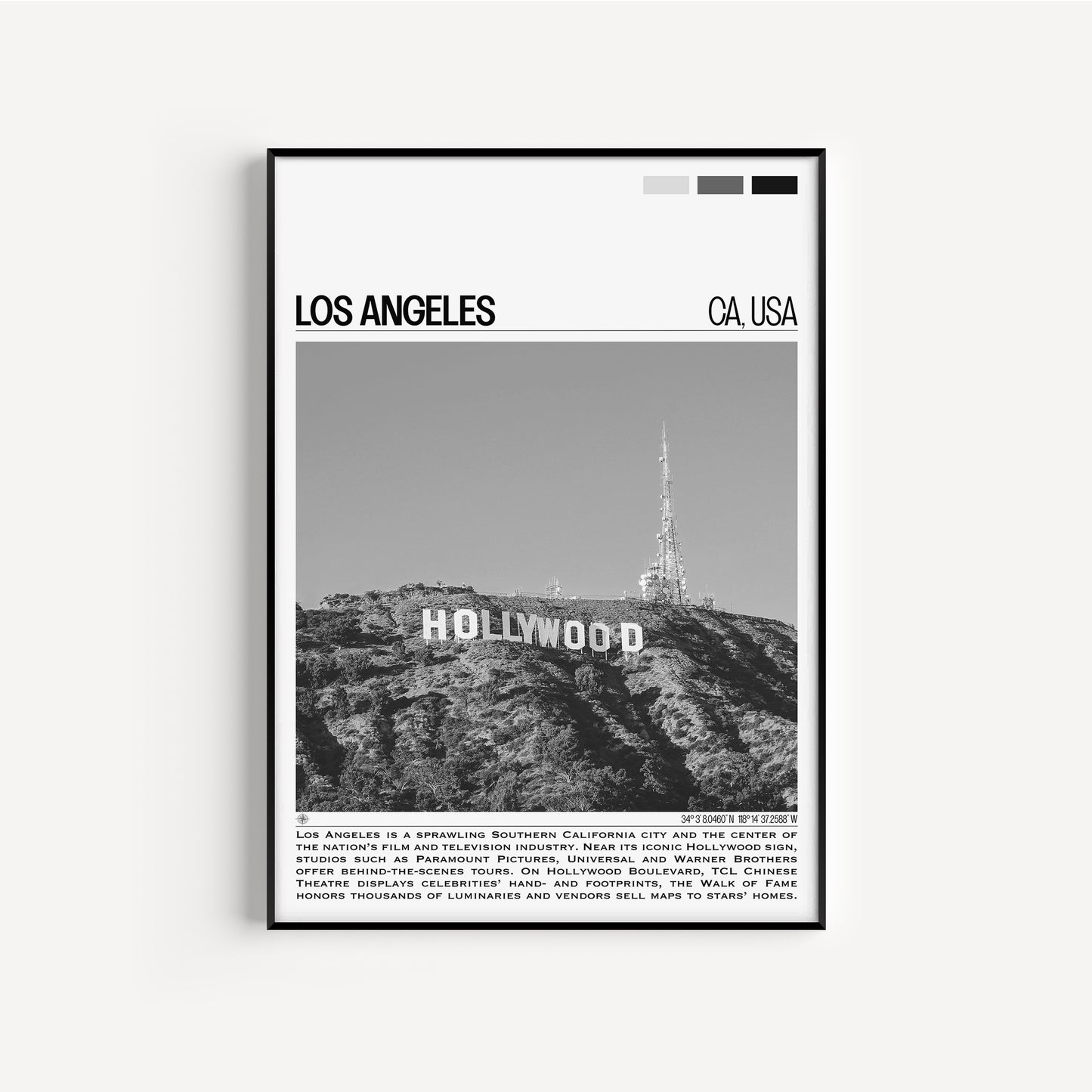 Los Angeles B&W Poster #2