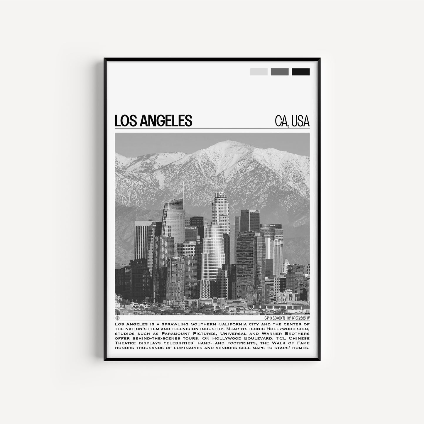 Los Angeles B&W Poster #1