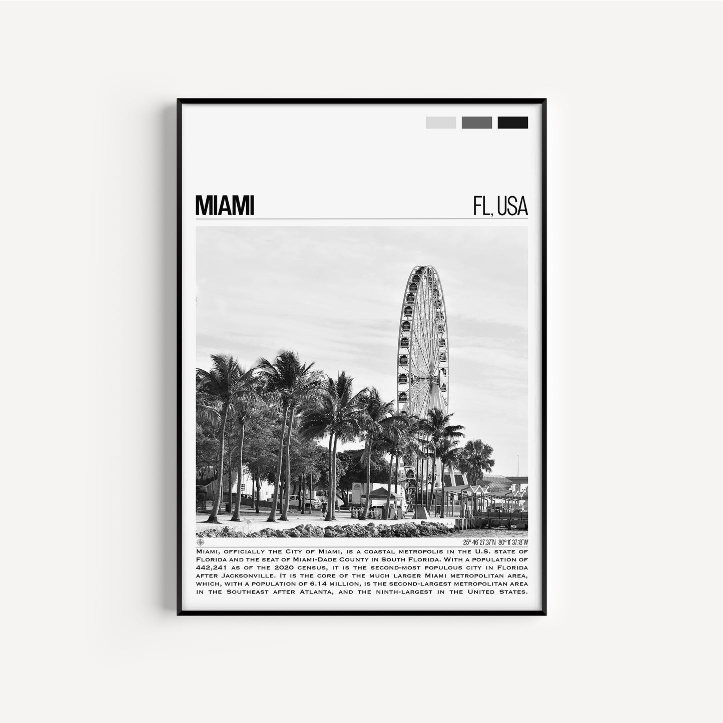 Miami B&W Poster #2