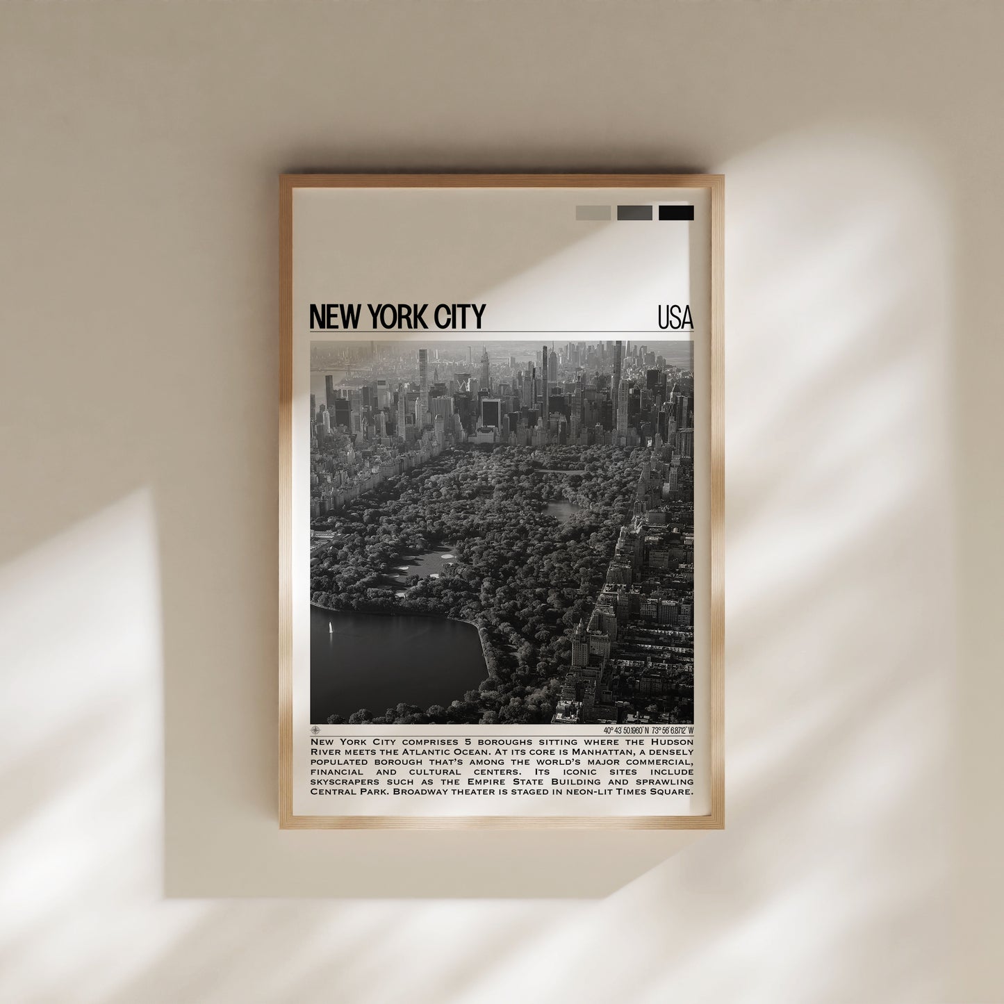 New York City B&W Poster #2