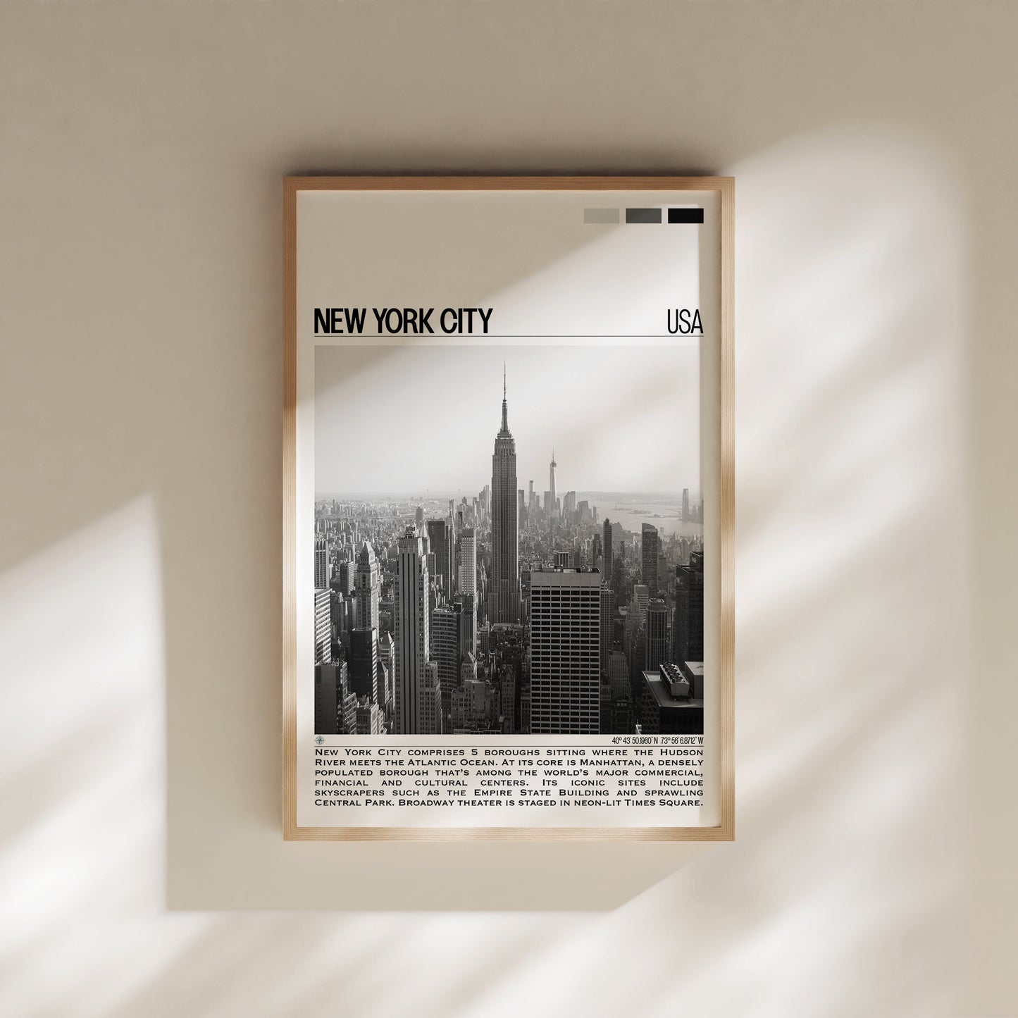 New York City B&W Poster #1