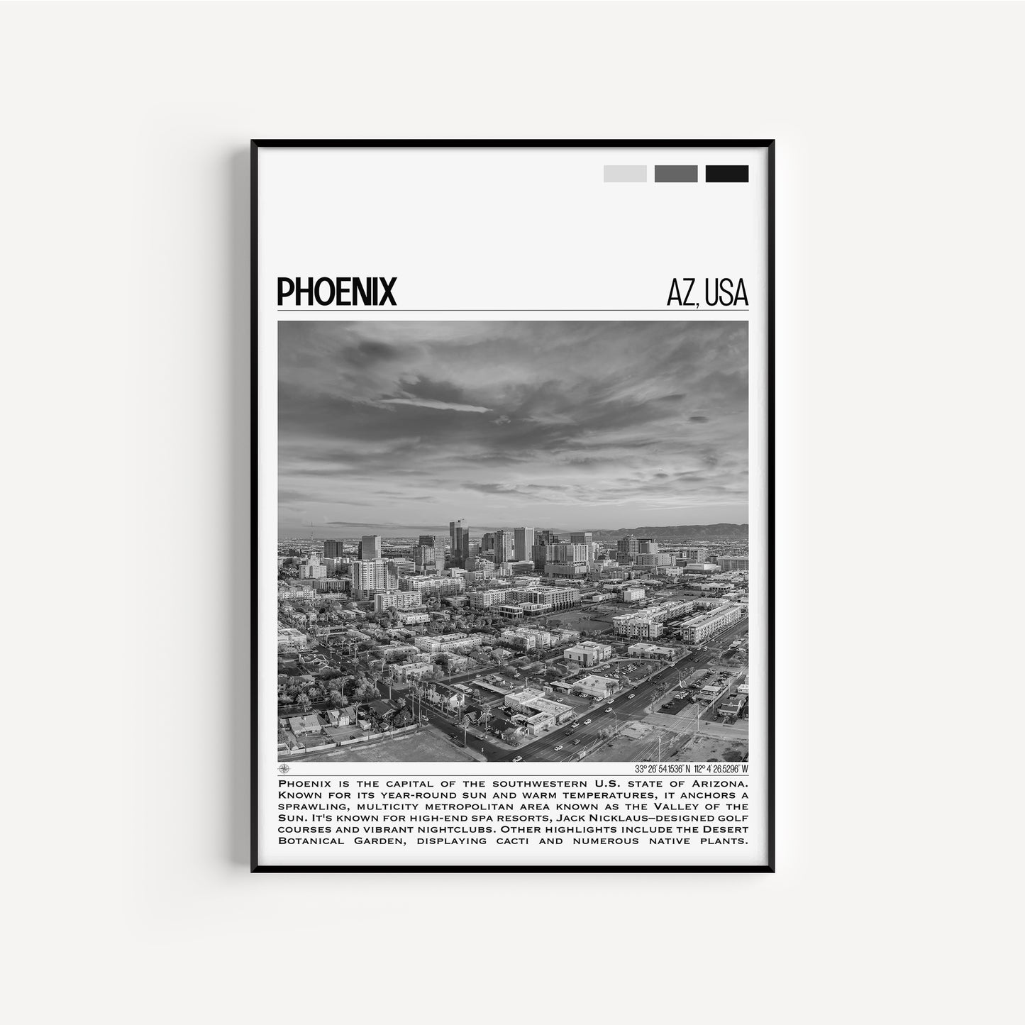 Phoenix B&W Poster #2